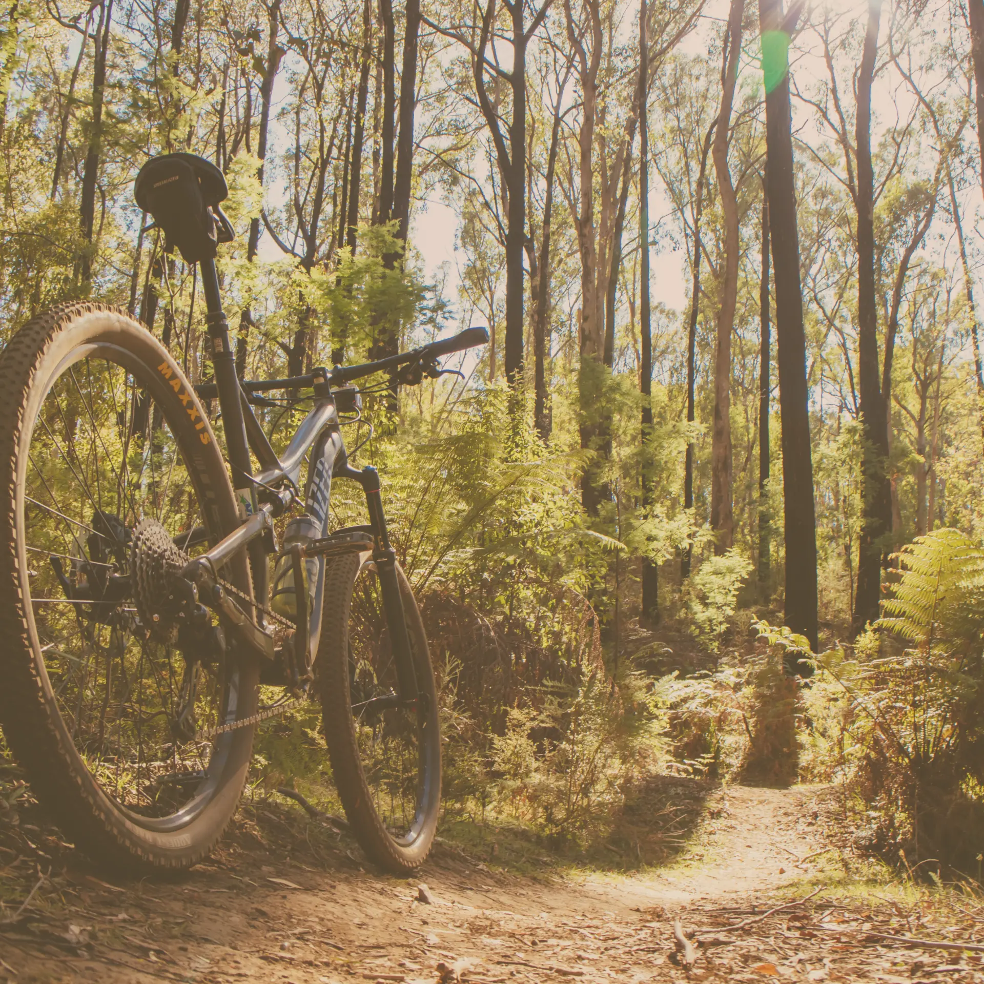 Mountain Biking